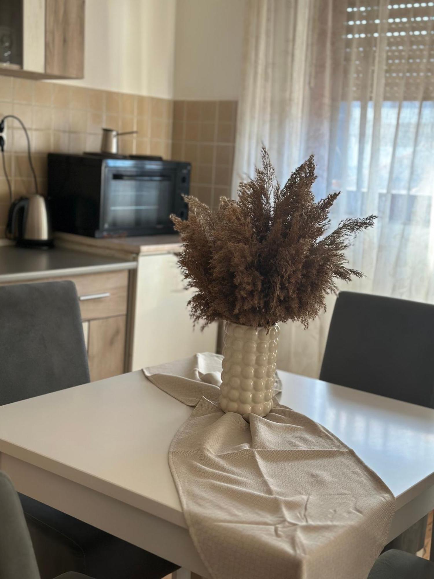 Lilyy Apartment Leskovac  Exterior photo